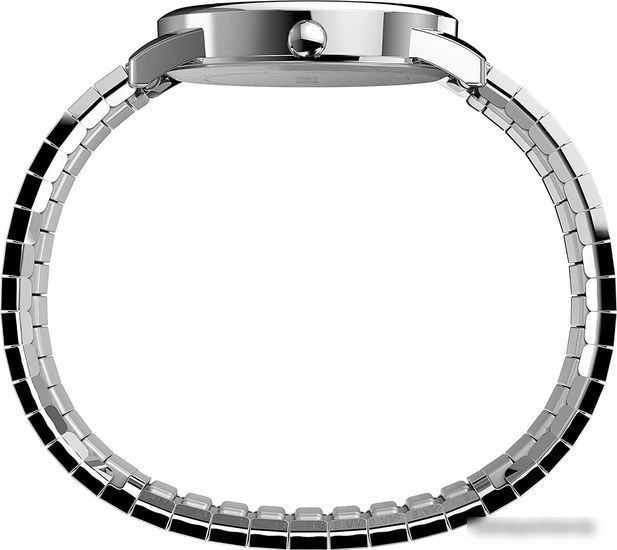 Наручные часы Timex TW2V05500