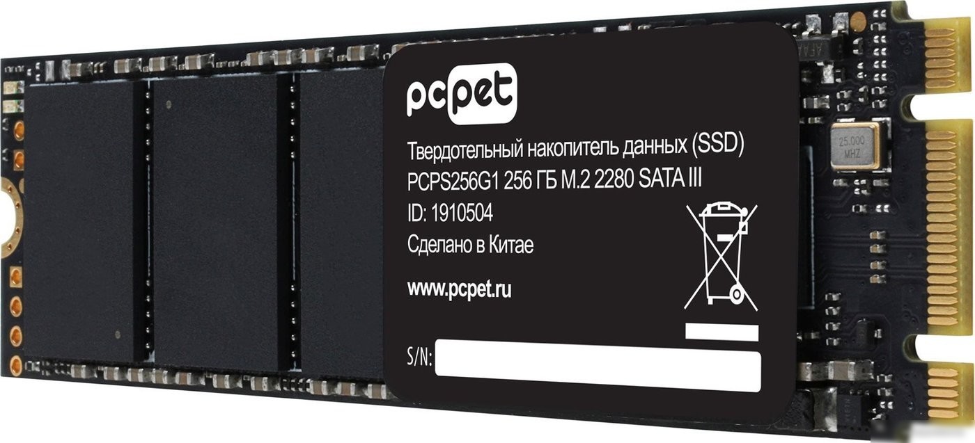 SSD PC Pet 256GB PCPS256G1