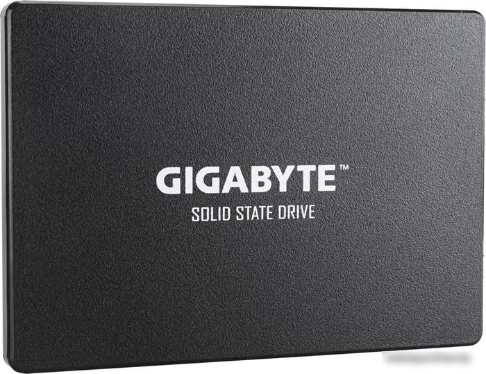 SSD Gigabyte 1TB GP-GSTFS31100TNTD