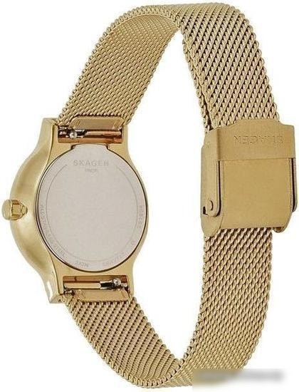 Наручные часы Skagen SKW2717