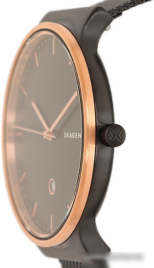 Наручные часы Skagen SKW6296