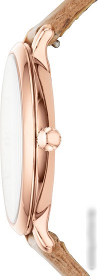 Наручные часы Fossil ES3487