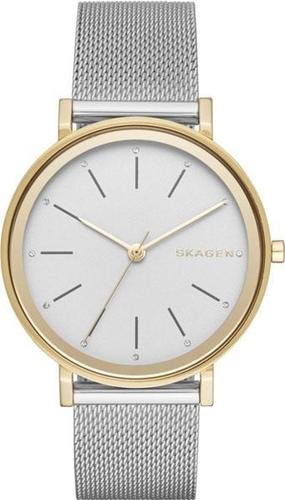 Наручные часы Skagen SKW2508