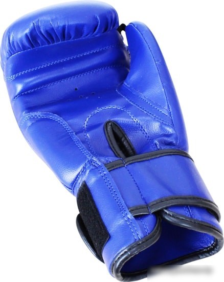 Перчатки для единоборств BoyBo Basic 10 OZ (синий)