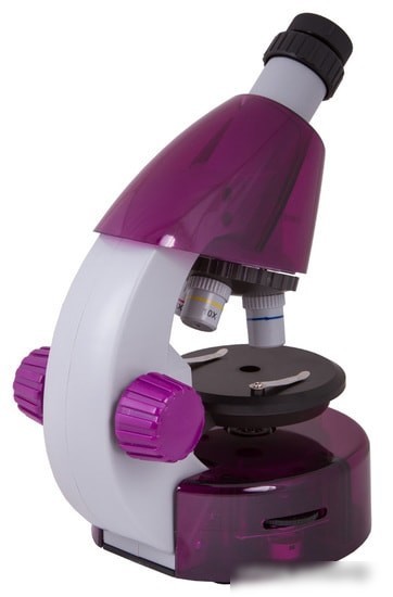 Levenhuk LabZZ M101 (аметист) 69033