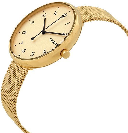 Наручные часы Skagen SKW2625