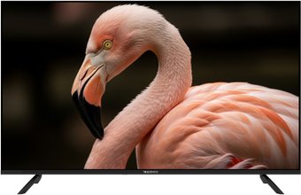 Телевизор Topdevice 43" WILDRED TDWC43BF2110V