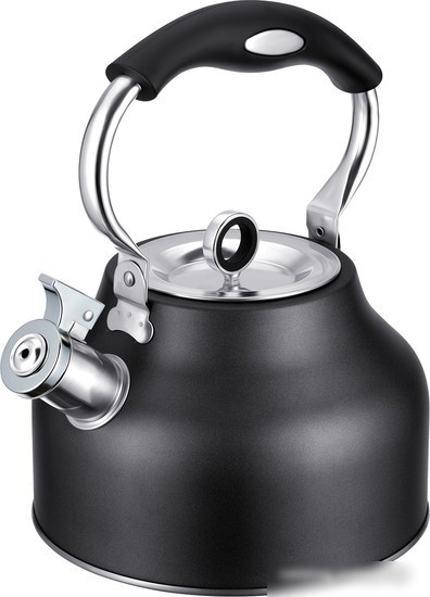 Чайник со свистком Regent Inox 93-TEA-49