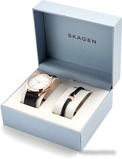 Наручные часы Skagen SKW1102