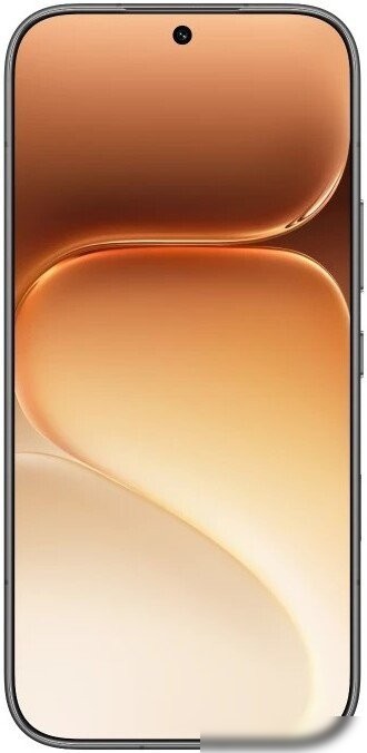 Телефон HONOR 600 Pro Dual SIM 12GB/512GB международная версия (черный)