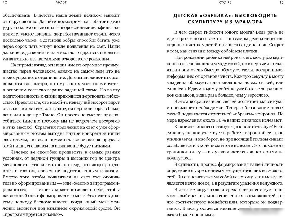 Книга издательства КоЛибри. Мозг. Ваша личная история (Иглмен Д.)