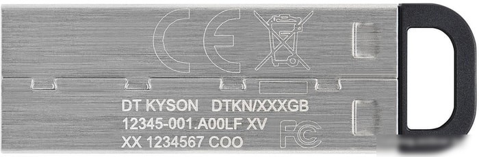 USB Flash Kingston Kyson 128GB