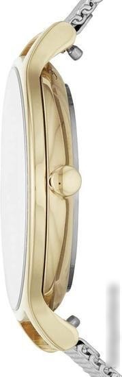 Наручные часы Skagen SKW2866