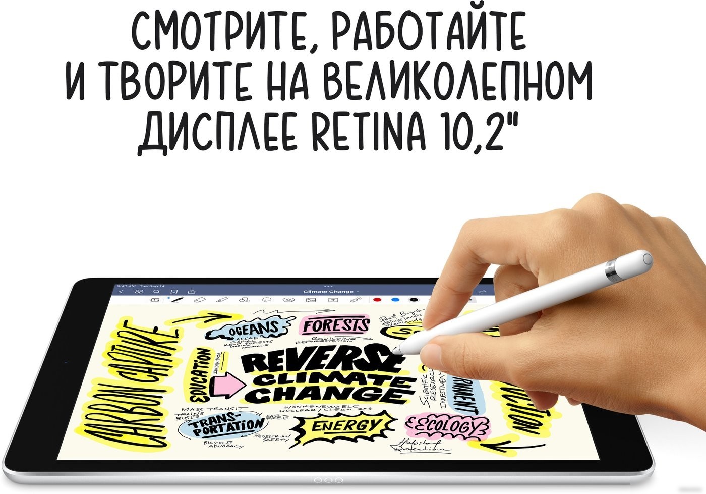 Планшет Apple iPad 10.2" 2021 64GB LTE MK493 (серебристый)