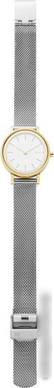 Наручные часы Skagen SKW2445