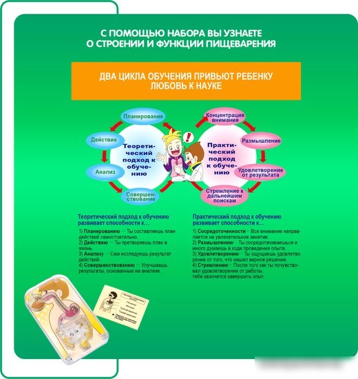 Набор для опытов Bondibon Японские опыты. Система пищеварения ВВ4727
