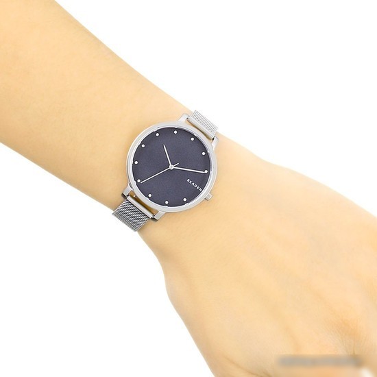 Наручные часы Skagen SKW2582