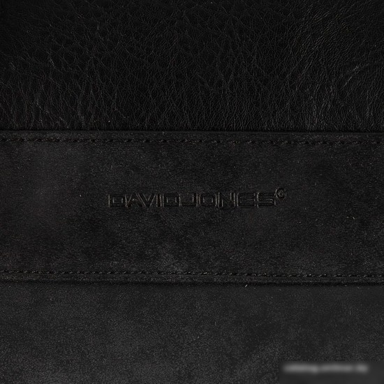 Дорожная сумка David Jones 823-CM0798B (черный)