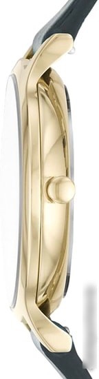 Наручные часы Skagen SKW2720