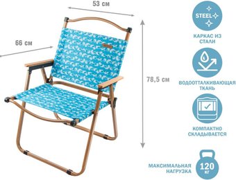 Кемпинговое кресло Arizone 42-535477 (бежевый/волна)