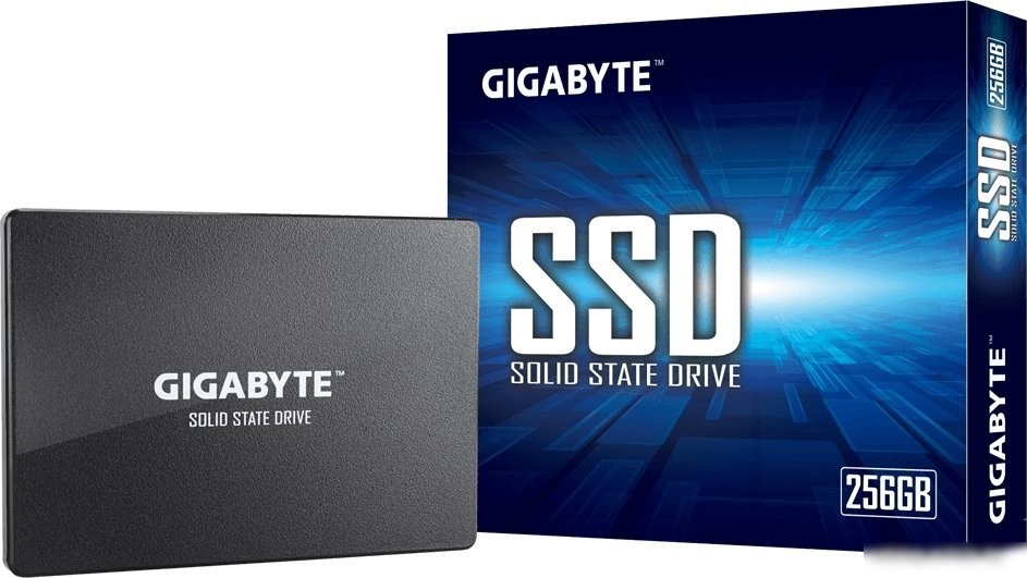 SSD Gigabyte 256GB GP-GSTFS31256GTND