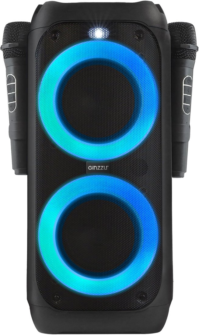Беспроводная колонка Ginzzu GM-120