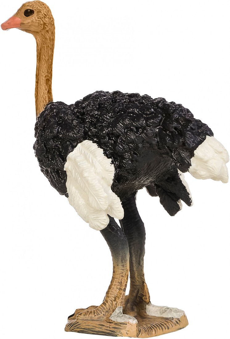 Фигурка Masai Mara Мир диких животных. Птица страус MM211-157