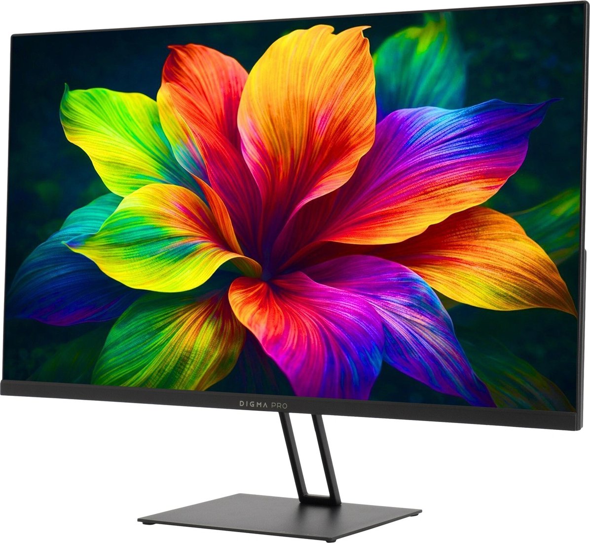 Монитор Digma Pro Motion S TM24SB01