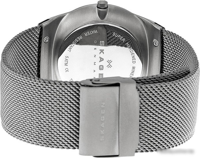 Наручные часы Skagen SKW6007