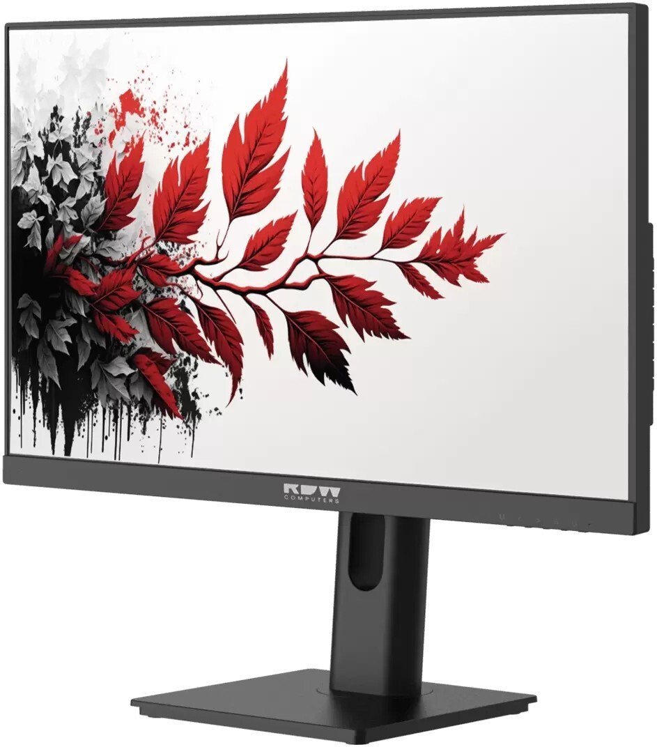 Монитор RDW Computers 2701K/F00B3100V2A1
