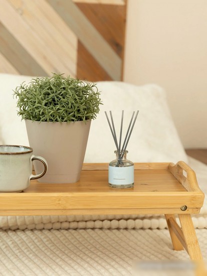 Аромадиффузор Arida Home Hygge №21 Остров Борнео (50 мл)