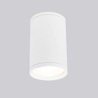 Уличный накладной светильник Elektrostandard Light 2101 35128/H (белый)