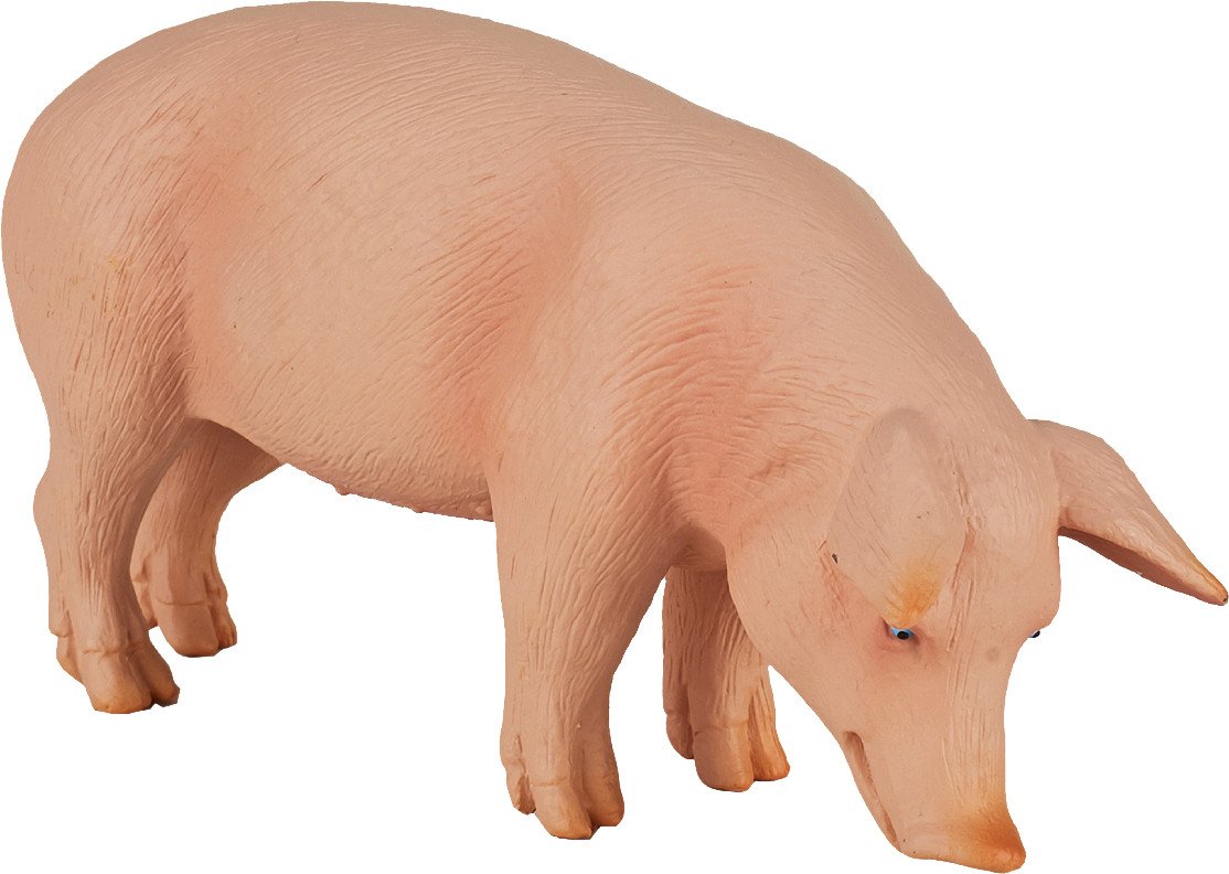 Фигурка Konik Свинья Самец AMF1029