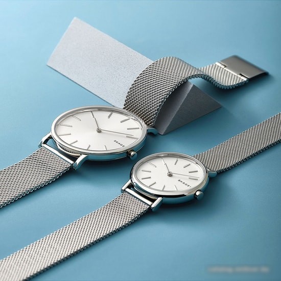 Наручные часы Skagen Signatur Slim SKW2692