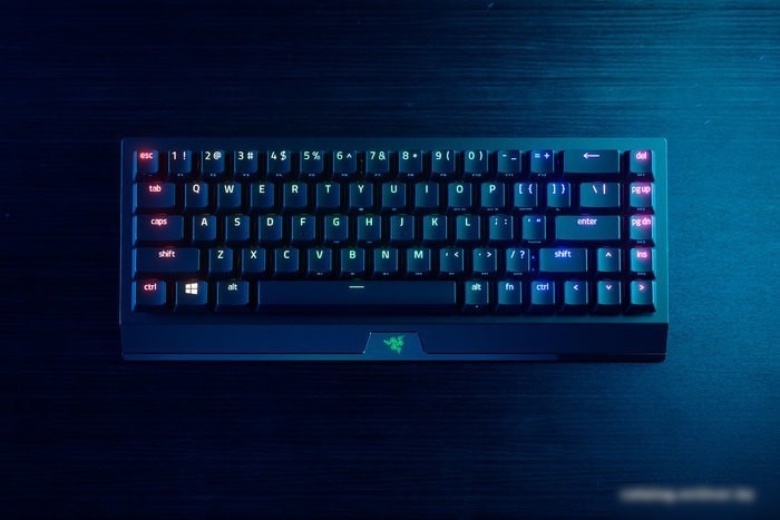 Клавиатура Razer Blackwidow V3 Mini HyperSpeed Yellow Switch