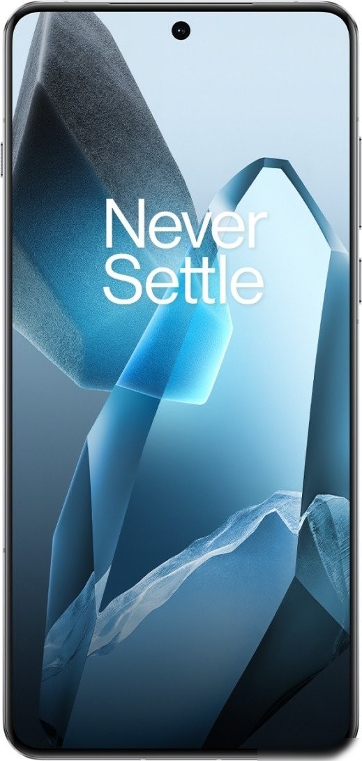 Телефон OnePlus 13 12GB/256GB международная версия (синий)