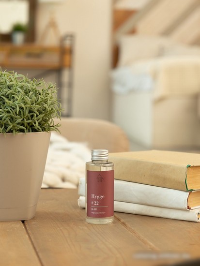 Жидкость для аромадиффузора Arida Home Hygge №22 Персик и пион (100мл)
