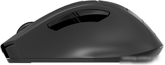 Мышь A4Tech Fstyler FG30S (черный)