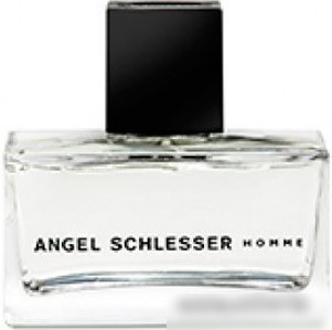 Angel Schlesser Homme edT (75 мл)