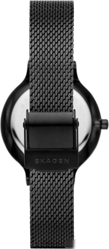Наручные часы Skagen SKW3112