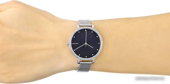 Наручные часы Skagen SKW2582