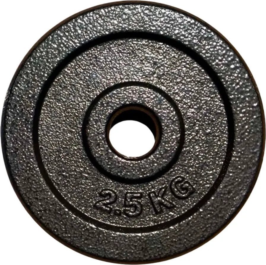 Диск ZEZ Sport DK-2.5 (окрашенный)