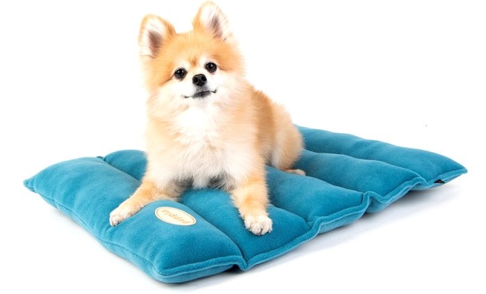 Лежак Puppia Soft Mat PATD-AU5978-BL (голубой_x000D_)