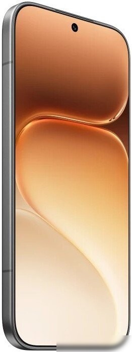 Телефон HONOR 600 Pro Dual SIM 12GB/512GB международная версия (черный)