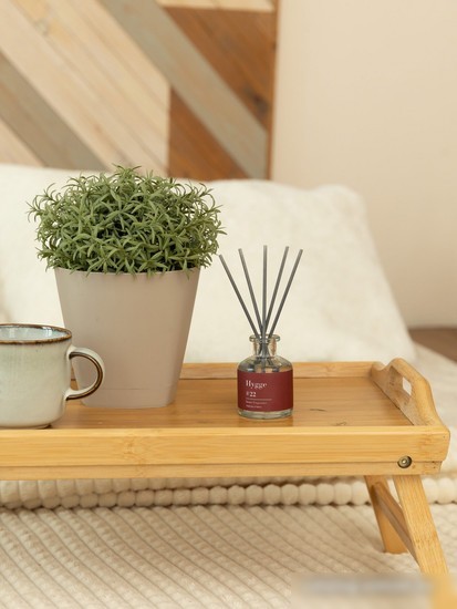 Аромадиффузор Arida Home Hygge №22 Персик и пион (50 мл)