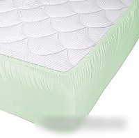 Защитный наматрасник Vegas Protect Cotton S1 170x195 (фисташковый)