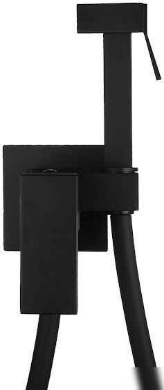 Гигиенический душ Roxen Caspia 50096000-B