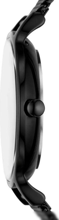 Наручные часы Skagen SKW3112