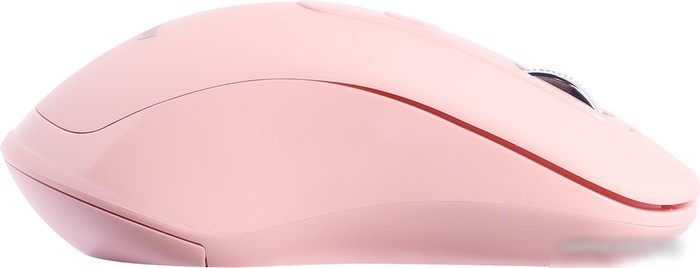 Мышь SmartBuy SBM-282AG-N