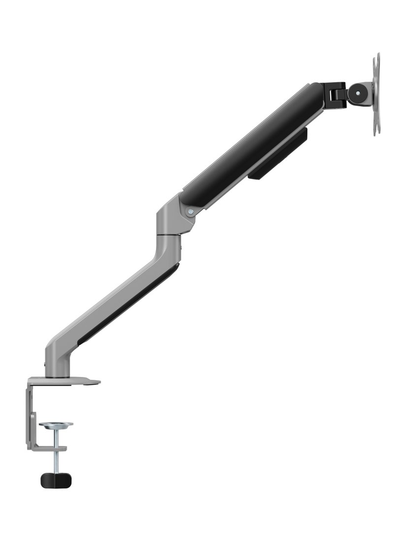 Кронштейн для монитора ErgoSmart Space Grey (космический серый)